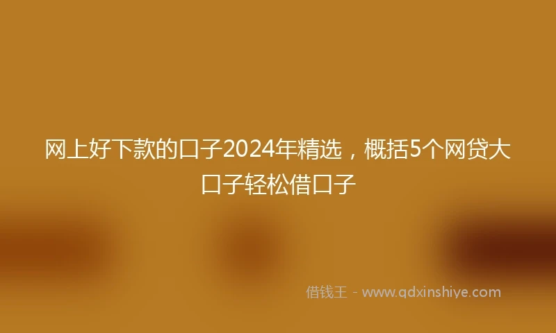 网上好下款的口子2024年精选，概括5个网贷大口子轻松借口子