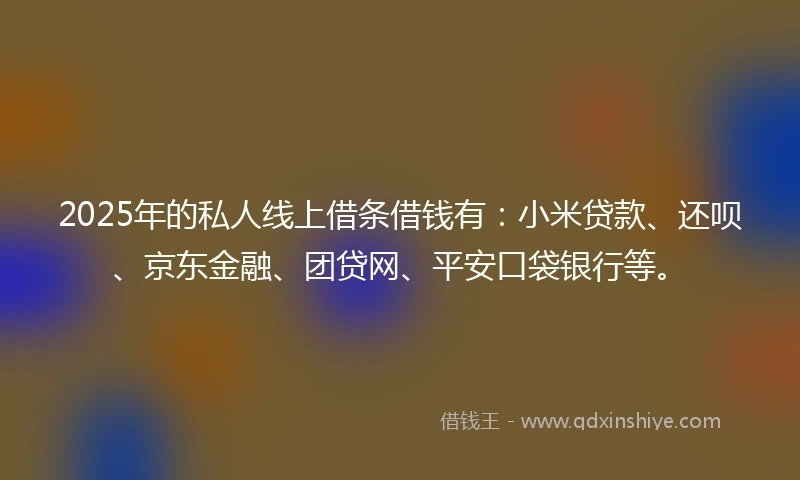 2025年的私人线上借条借钱有：小米贷款、还呗、京东金融、团贷网、平安口袋银行等。