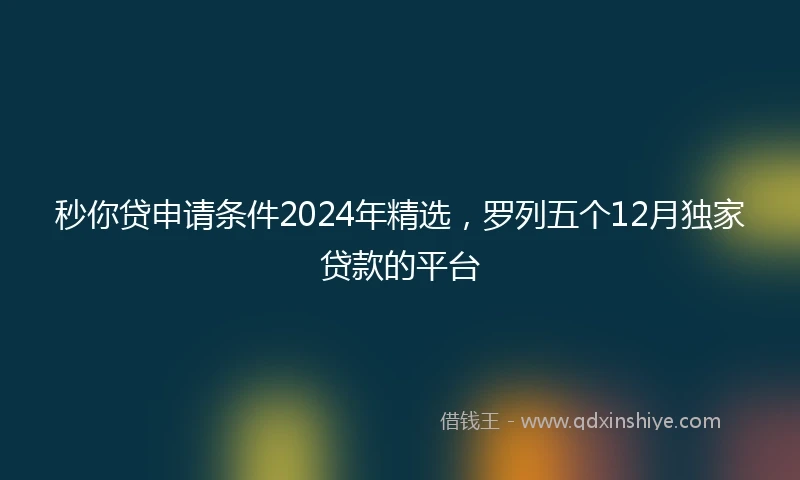 秒你贷申请条件2024年精选，罗列五个12月独家贷款的平台