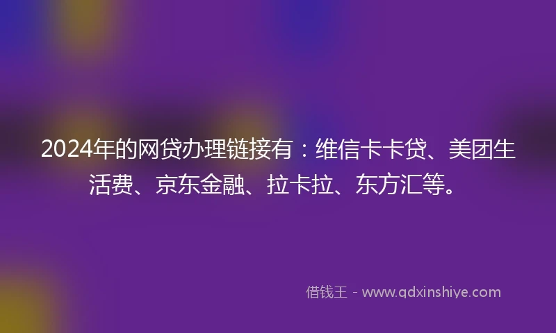 2024年的网贷办理链接有：维信卡卡贷、美团生活费、京东金融、拉卡拉、东方汇等。