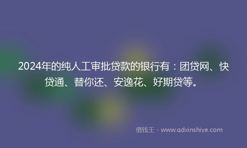 2024年的纯人工审批贷款的银行有：团贷网、快贷通、替你还、安逸花、好期贷等。