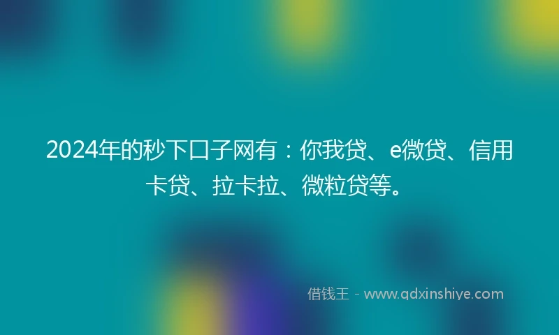 2024年的秒下口子网有：你我贷、e微贷、信用卡贷、拉卡拉、微粒贷等。