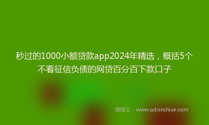 秒过的1000小额贷款app2024年精选，概括5个不看征信负债的网贷百分百下款口子