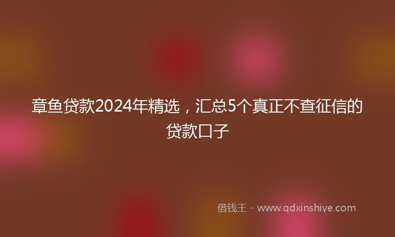 章鱼贷款2024年精选，汇总5个真正不查征信的贷款口子