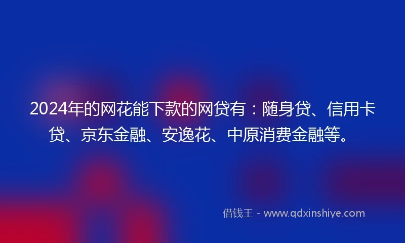 2024年的网花能下款的网贷有：随身贷、信用卡贷、京东金融、安逸花、中原消费金融等。