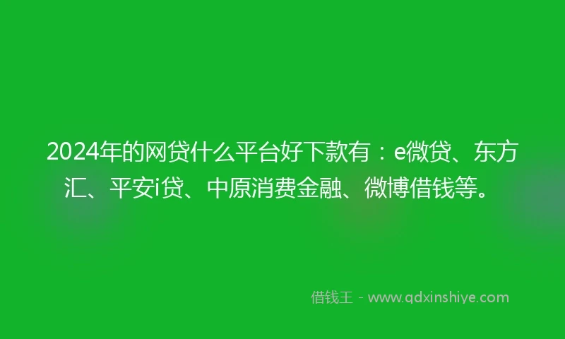 2024年的网贷什么平台好下款有:e微贷、东方汇、平安i贷、中原消费金融、微博借钱等。