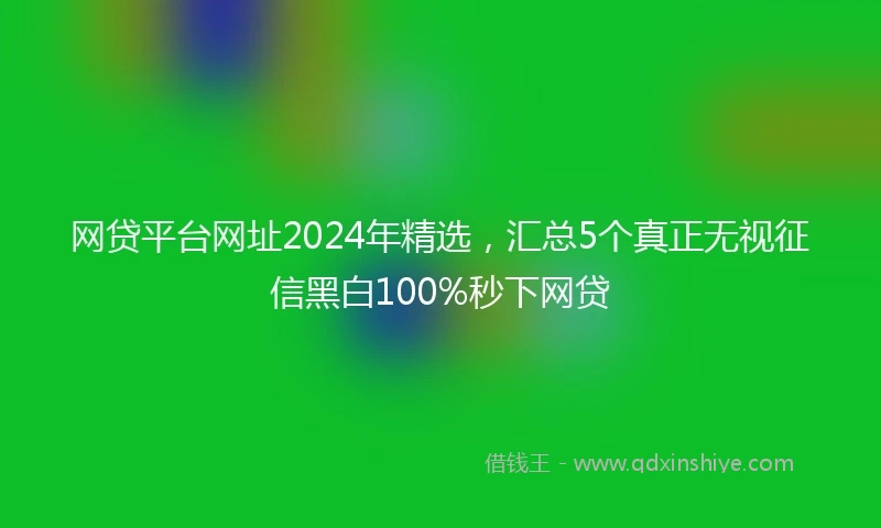 网贷平台网址2024年精选，汇总5个真正无视征信黑白100%秒下网贷