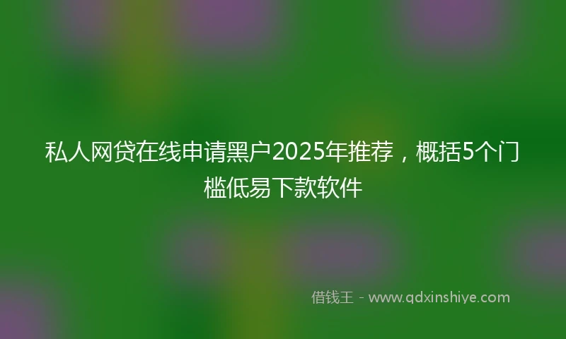 私人网贷在线申请黑户2025年推荐，概括5个门槛低易下款软件