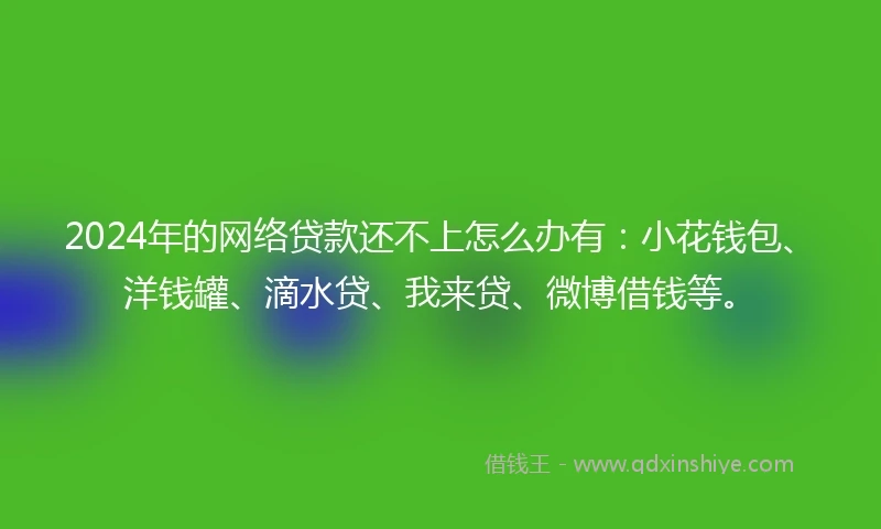 2024年的网络贷款还不上怎么办有：小花钱包、洋钱罐、滴水贷、我来贷、微博借钱等。