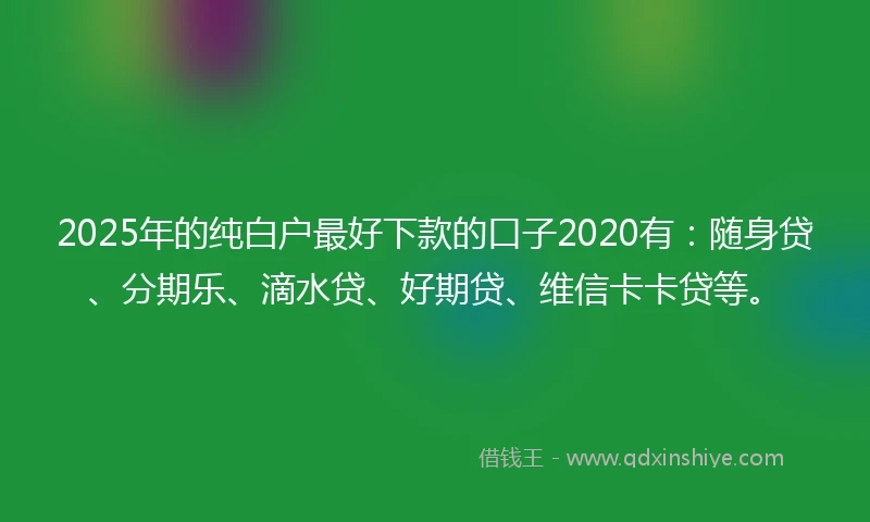 2025年的纯白户最好下款的口子2020有：随身贷、分期乐、滴水贷、好期贷、维信卡卡贷等。