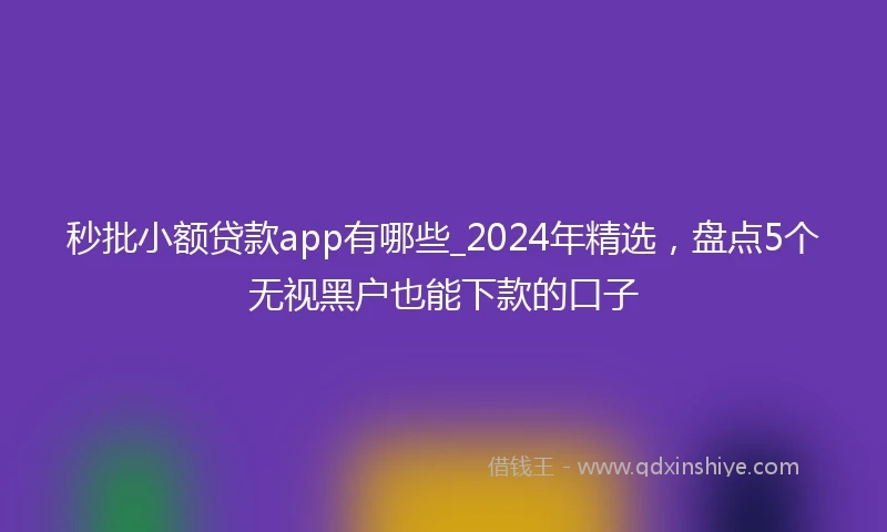秒批小额贷款app有哪些_2024年精选，盘点5个无视黑户也能下款的口子