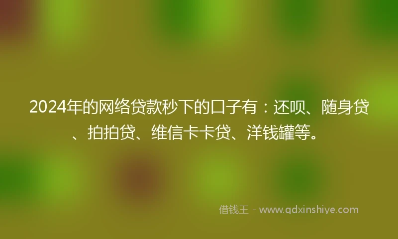 2024年的网络贷款秒下的口子有：还呗、随身贷、拍拍贷、维信卡卡贷、洋钱罐等。