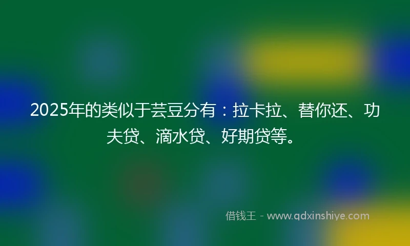 2025年的类似于芸豆分有：拉卡拉、替你还、功夫贷、滴水贷、好期贷等。