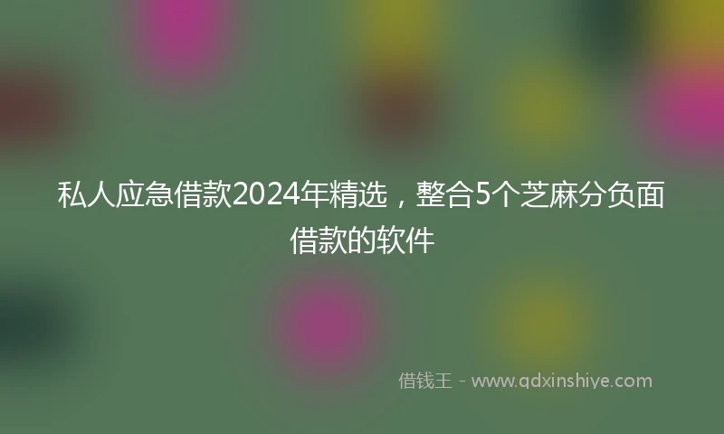 私人应急借款2024年精选，整合5个芝麻分负面借款的软件