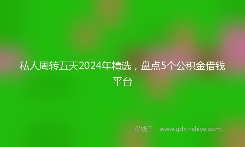 私人周转五天2024年精选，盘点5个公积金借钱平台