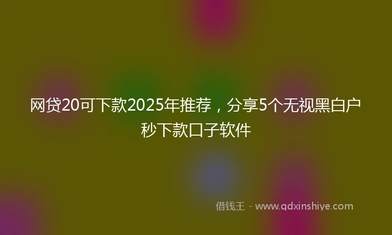 网贷20可下款2025年推荐，分享5个无视黑白户秒下款口子软件