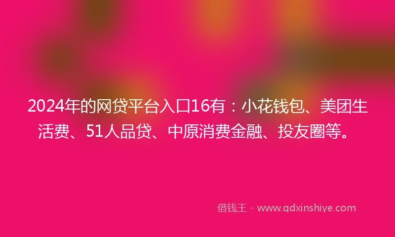 2024年的网贷平台入口16有：小花钱包、美团生活费、51人品贷、中原消费金融、投友圈等。