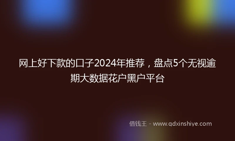 网上好下款的口子2024年推荐，盘点5个无视逾期大数据花户黑户平台