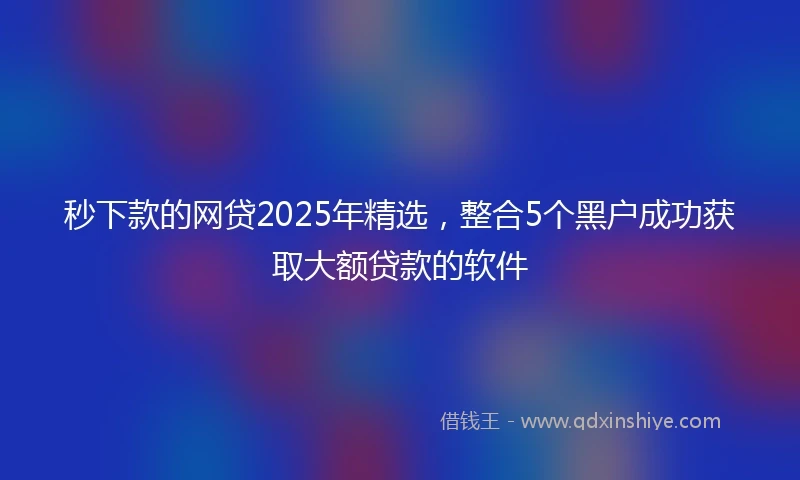 秒下款的网贷2025年精选，整合5个黑户成功获取大额贷款的软件
