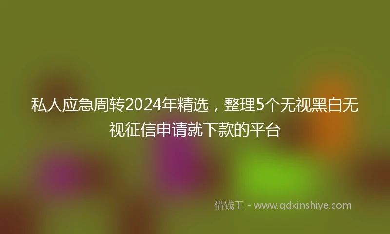 私人应急周转2024年精选，整理5个无视黑白无视征信申请就下款的平台