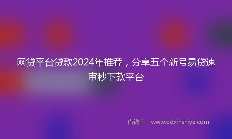 网贷平台贷款2024年推荐，分享五个新号易贷速审秒下款平台