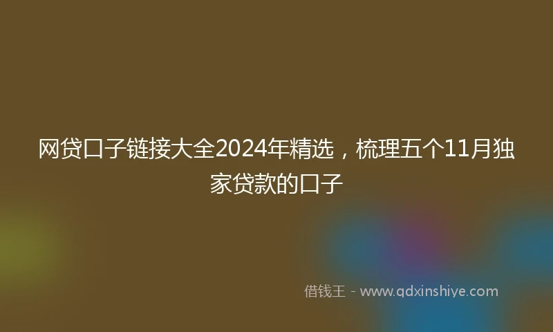 网贷口子链接大全2024年精选，梳理五个11月独家贷款的口子