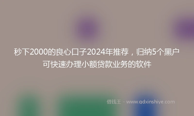 秒下2000的良心口子2024年推荐，归纳5个黑户可快速办理小额贷款业务的软件