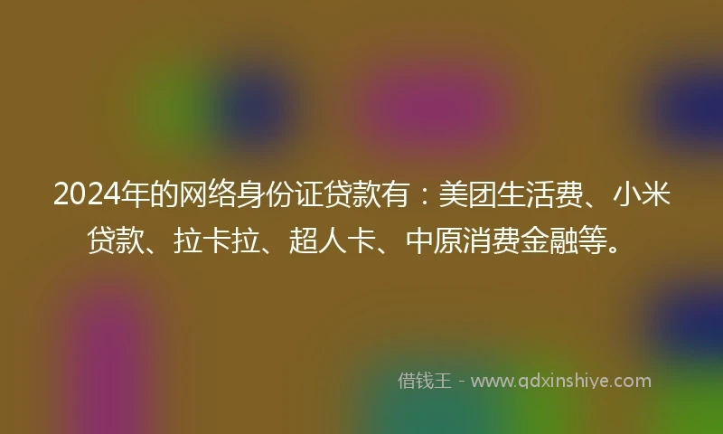 2024年的网络身份证贷款有：美团生活费、小米贷款、拉卡拉、超人卡、中原消费金融等。