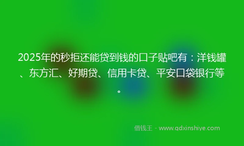 2025年的秒拒还能贷到钱的口子贴吧有：洋钱罐、东方汇、好期贷、信用卡贷、平安口袋银行等。