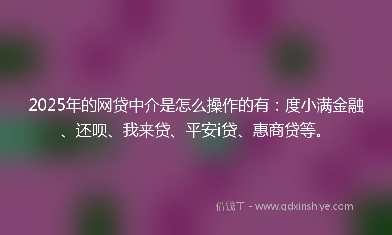 2025年的网贷中介是怎么操作的有：度小满金融、还呗、我来贷、平安i贷、惠商贷等。