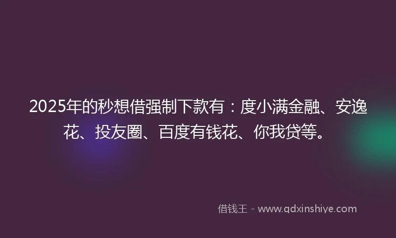 2025年的秒想借强制下款有：度小满金融、安逸花、投友圈、百度有钱花、你我贷等。