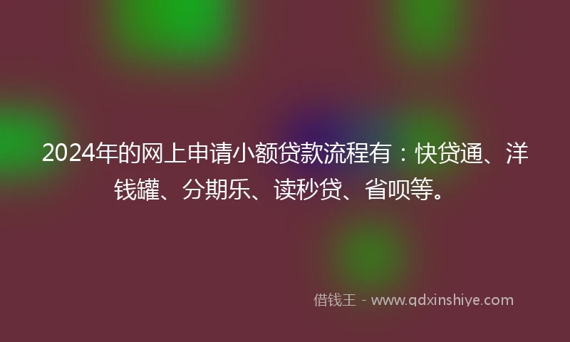 2024年的网上申请小额贷款流程有：快贷通、洋钱罐、分期乐、读秒贷、省呗等。