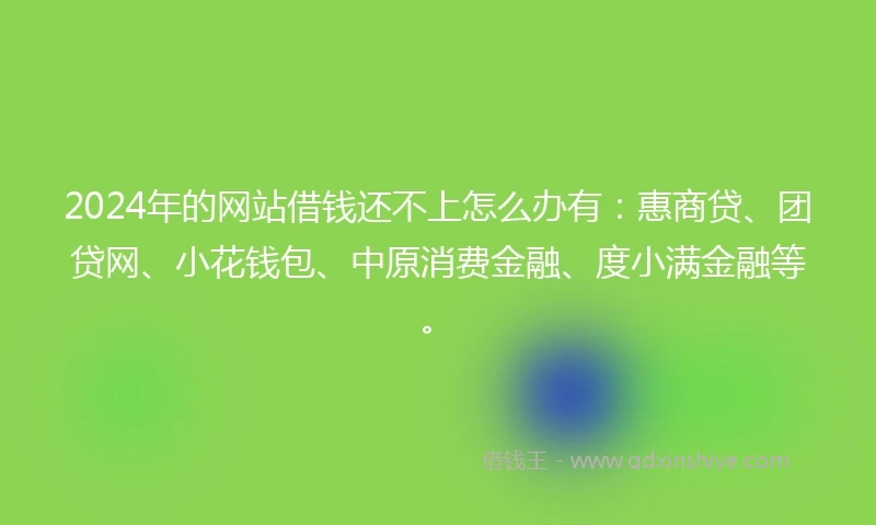 2024年的网站借钱还不上怎么办有：惠商贷、团贷网、小花钱包、中原消费金融、度小满金融等。