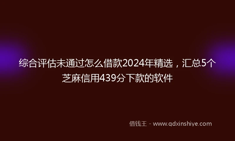 综合评估未通过怎么借款2024年精选，汇总5个芝麻信用439分下款的软件