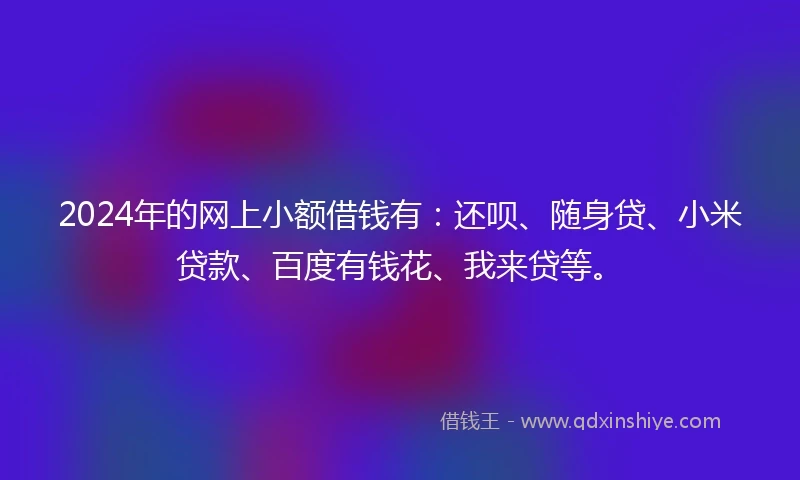 2024年的网上小额借钱有：还呗、随身贷、小米贷款、百度有钱花、我来贷等。
