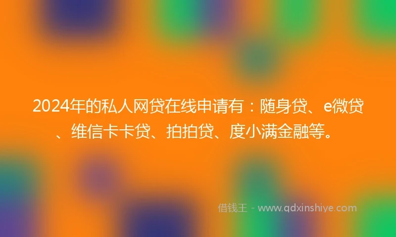 2024年的私人网贷在线申请有：随身贷、e微贷、维信卡卡贷、拍拍贷、度小满金融等。