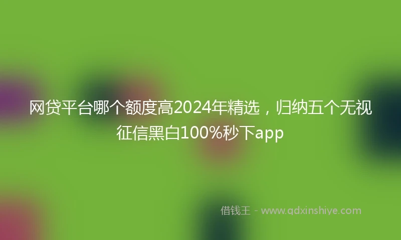 网贷平台哪个额度高2024年精选，归纳五个无视征信黑白100%秒下app