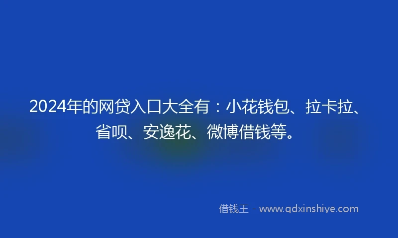 2024年的网贷入口大全有：小花钱包、拉卡拉、省呗、安逸花、微博借钱等。