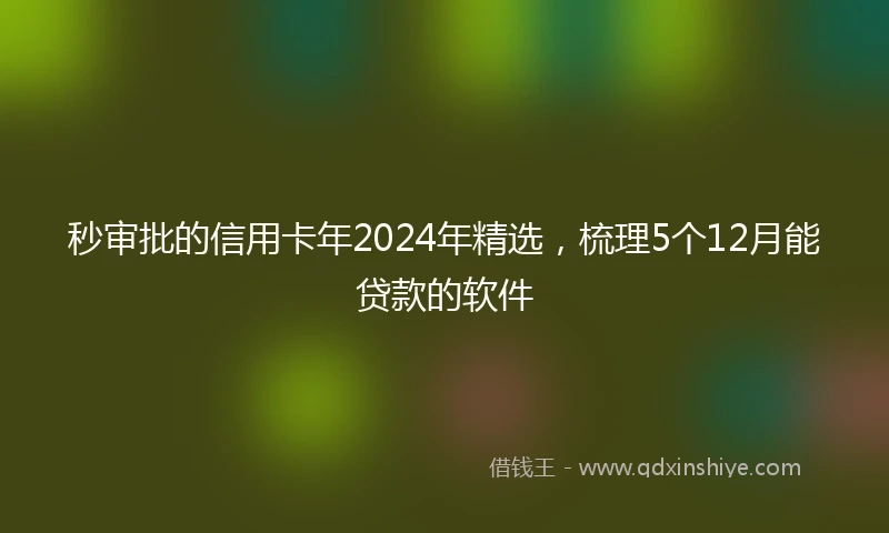 秒审批的信用卡年2024年精选，梳理5个12月能贷款的软件
