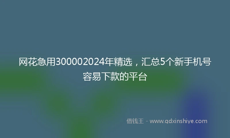 网花急用300002024年精选，汇总5个新手机号容易下款的平台
