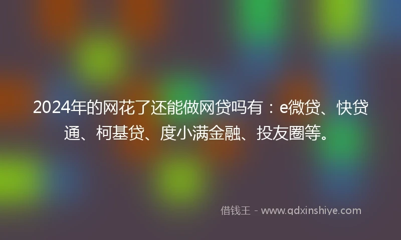2024年的网花了还能做网贷吗有：e微贷、快贷通、柯基贷、度小满金融、投友圈等。