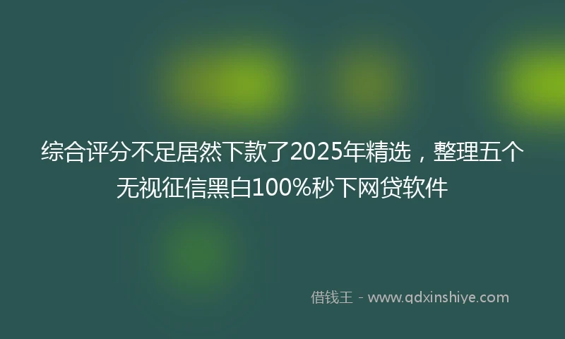 综合评分不足居然下款了2025年精选，整理五个无视征信黑白100%秒下网贷软件
