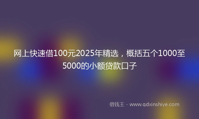 网上快速借100元2025年精选，概括五个1000至5000的小额贷款口子