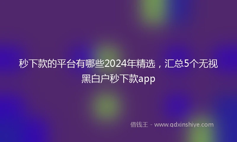 秒下款的平台有哪些2024年精选，汇总5个无视黑白户秒下款app