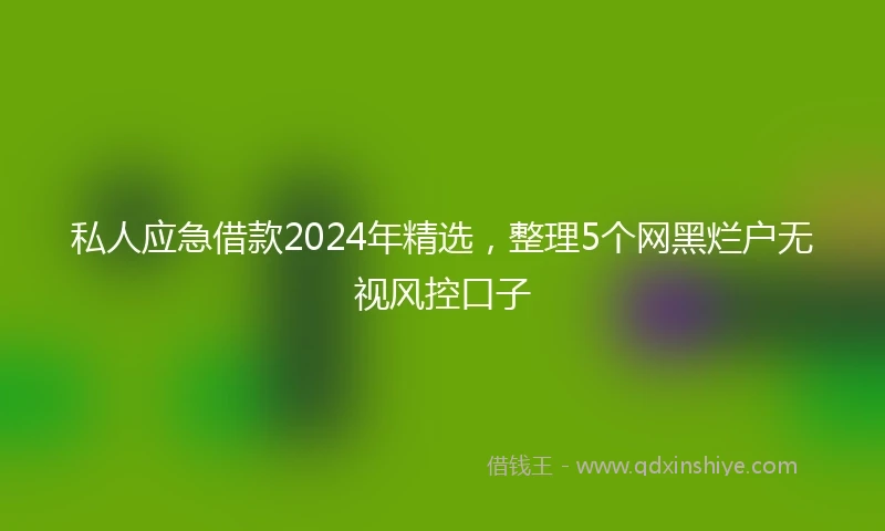 私人应急借款2024年精选，整理5个网黑烂户无视风控口子