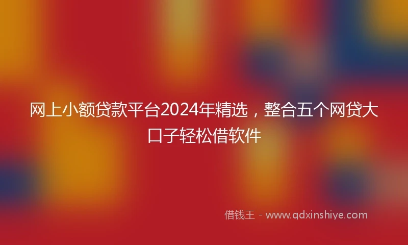 网上小额贷款平台2024年精选，整合五个网贷大口子轻松借软件
