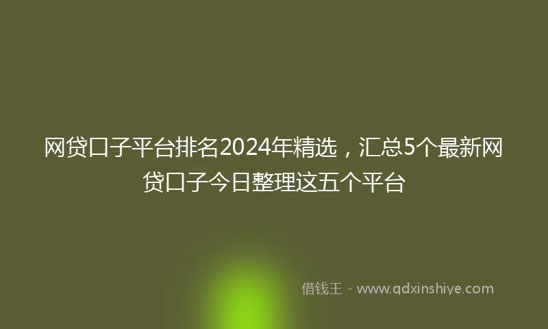 网贷口子平台排名2024年精选，汇总5个最新网贷口子今日整理这五个平台