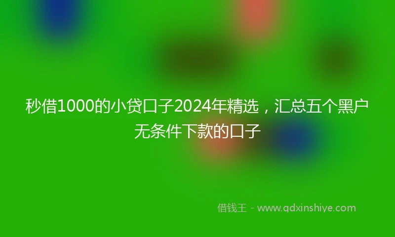 秒借1000的小贷口子2024年精选，汇总五个黑户无条件下款的口子
