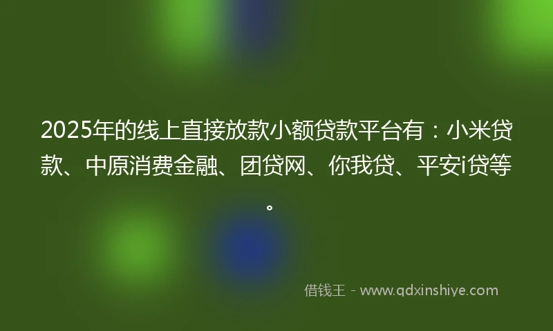 2025年的线上直接放款小额贷款平台有：小米贷款、中原消费金融、团贷网、你我贷、平安i贷等。
