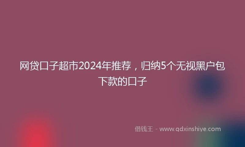 网贷口子超市2024年推荐，归纳5个无视黑户包下款的口子